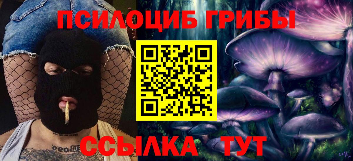 Набережные Челны  Псилоцибиновые грибы Cubensis  Вход с VPN 